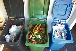 The city's color-coded bins gray for trash