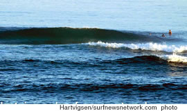 Hurricane Jova swells hit Laniakea on the North Shore