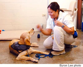 Hamaguchi works on ‘leave it’ (not to be distracted by food) with Zoe — those are doggie treats on Zoe’s paws