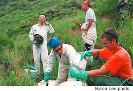 Steve Mosher, Leanne Obra, Dan Forman and Seth Cato prepare to spray for weeds that threaten native species (top), and then head out