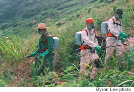 Steve Mosher, Leanne Obra, Dan Forman and Seth Cato prepare to spray for weeds that threaten native species (top), and then head out