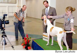 It’s picture time for Bones and Megan Commander, named the show’s best junior handler, with Mike Johnson and Norman Kenny