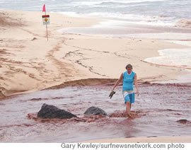 Laniakea, North Shore, March 16, 2006: There are times when it is safer on dry land than in dirty water