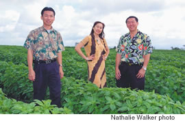 Frank, Alice and Tim Law export their Fat Law Farm basil