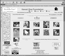 hawaiidogfoundation.org