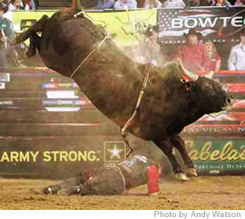 Chris Shivers rides Frontier Rodeo Co. bull Silent Angel for 86.3 points during the second round of the 2006 Charleston, Built Ford Tough Event