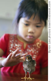 Kristy Rivera, 4, pets a baby mynah