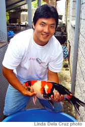 Nikkei Koi owner Gary Hironaka with one of his colorful koi