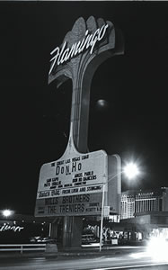 Flamingo Marquee