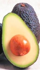 Hass avocado